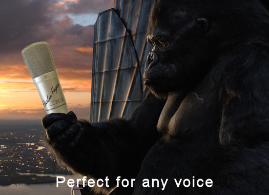 Great for any voice