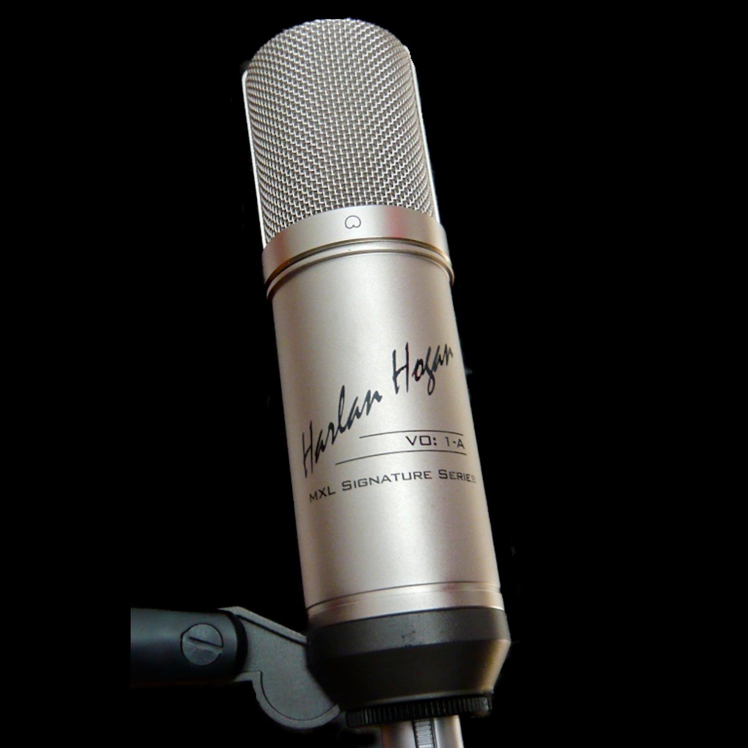 The Voice Over Microphone